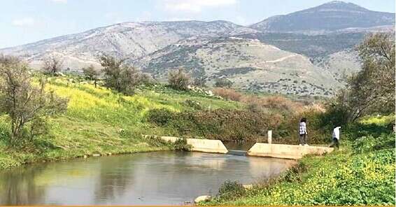 נחל דן // צילום: סמדר סלטון